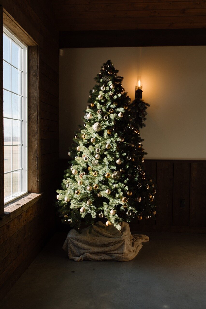 Wedding Venue Near Calgary and Edmonton 67 Large