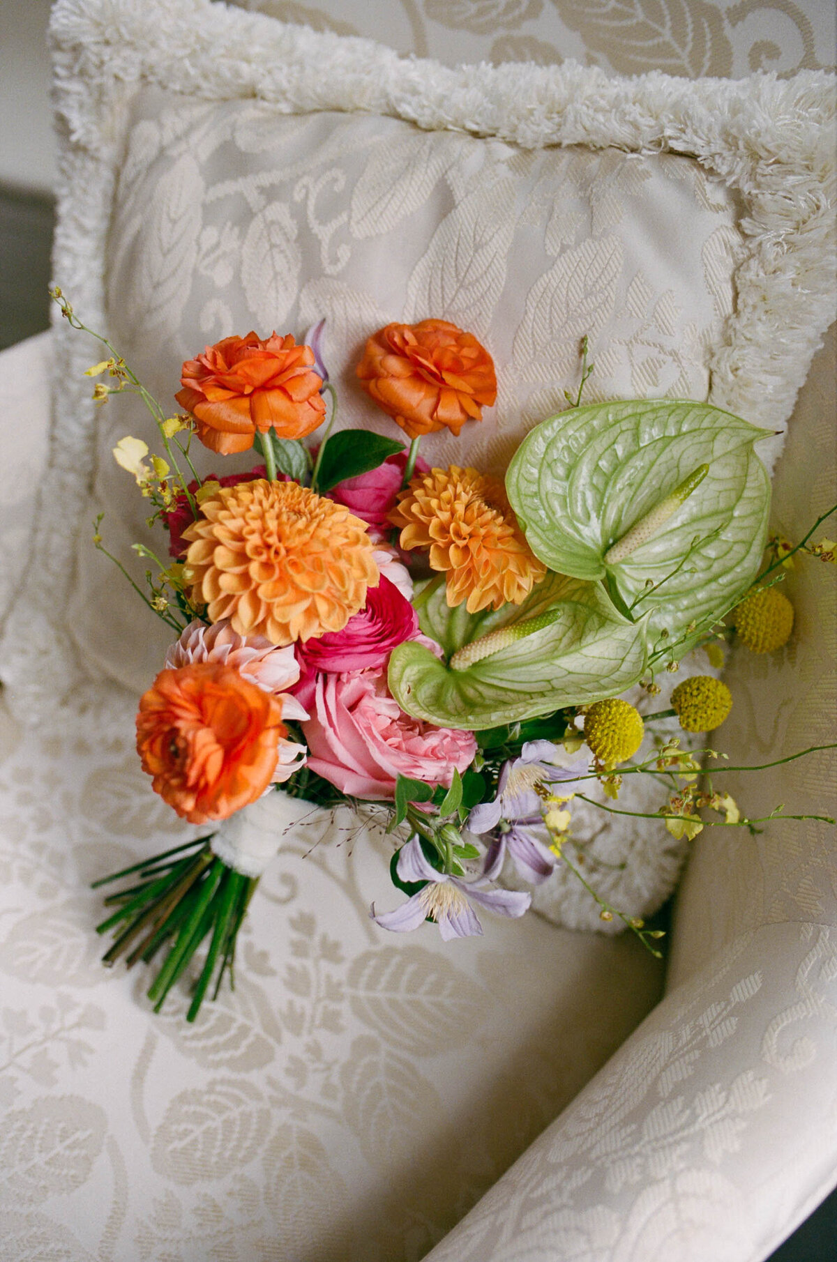 christina-clark-film-sneaks-18