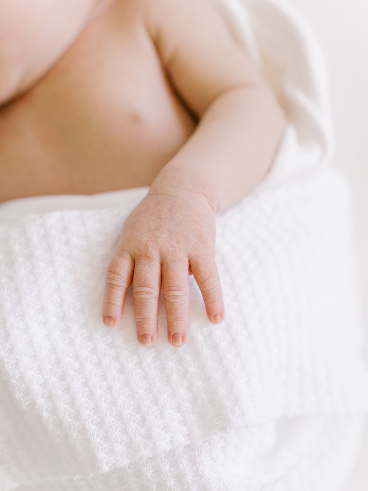 northern virginia newborn photography studio baby detail tiny hand photo