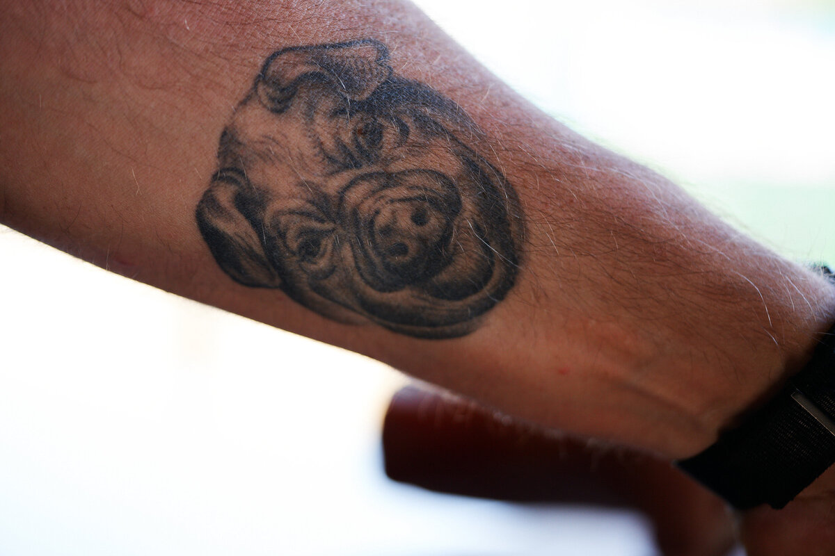 charlie mckenna pig tattoo