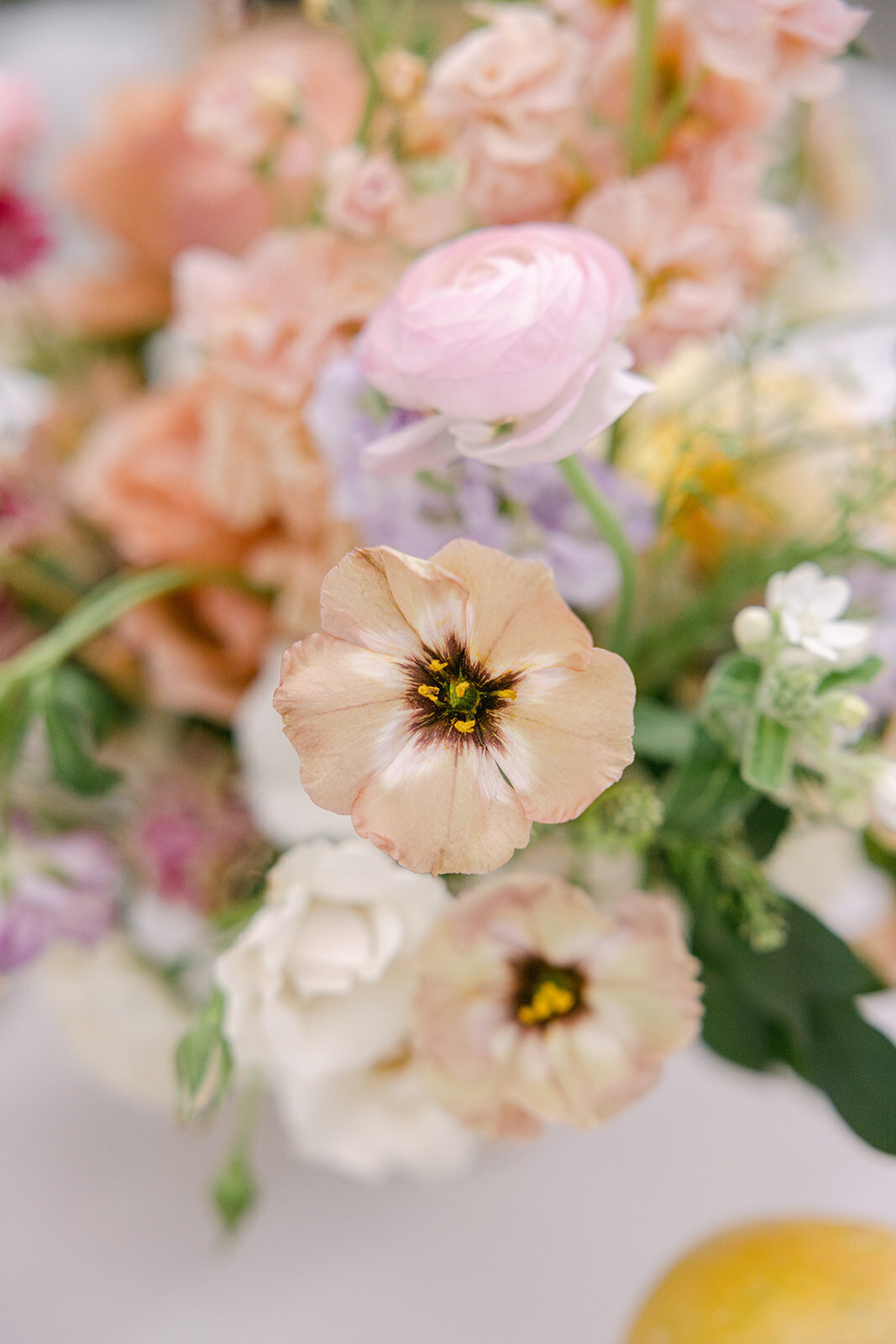 maitland-art-center-wedding-053