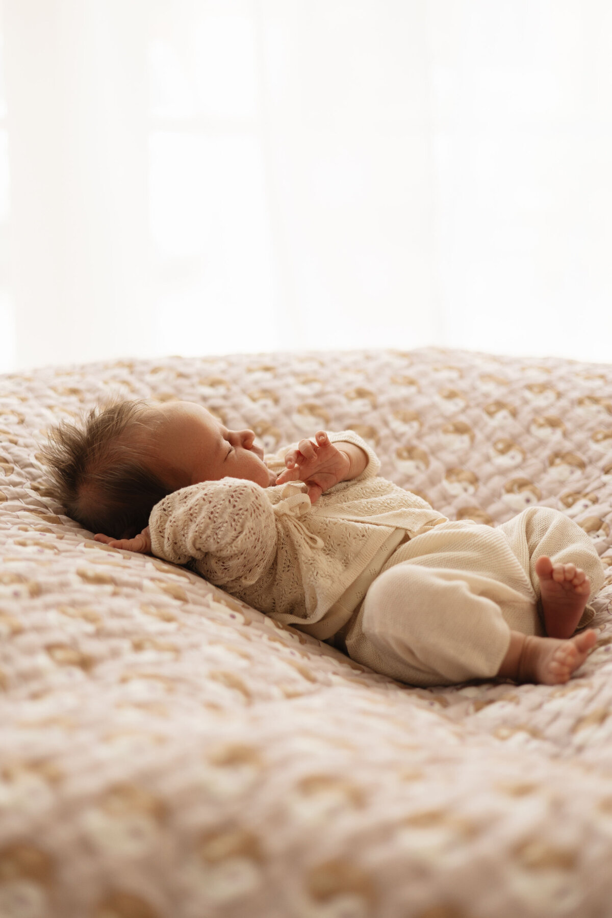 maudvandenheuvelphotography-Ziggybewerkt-38