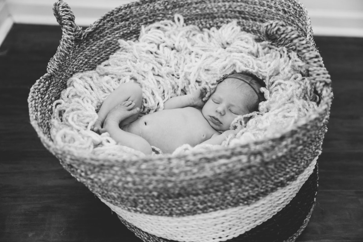 raleigh newborn photographer violet88512