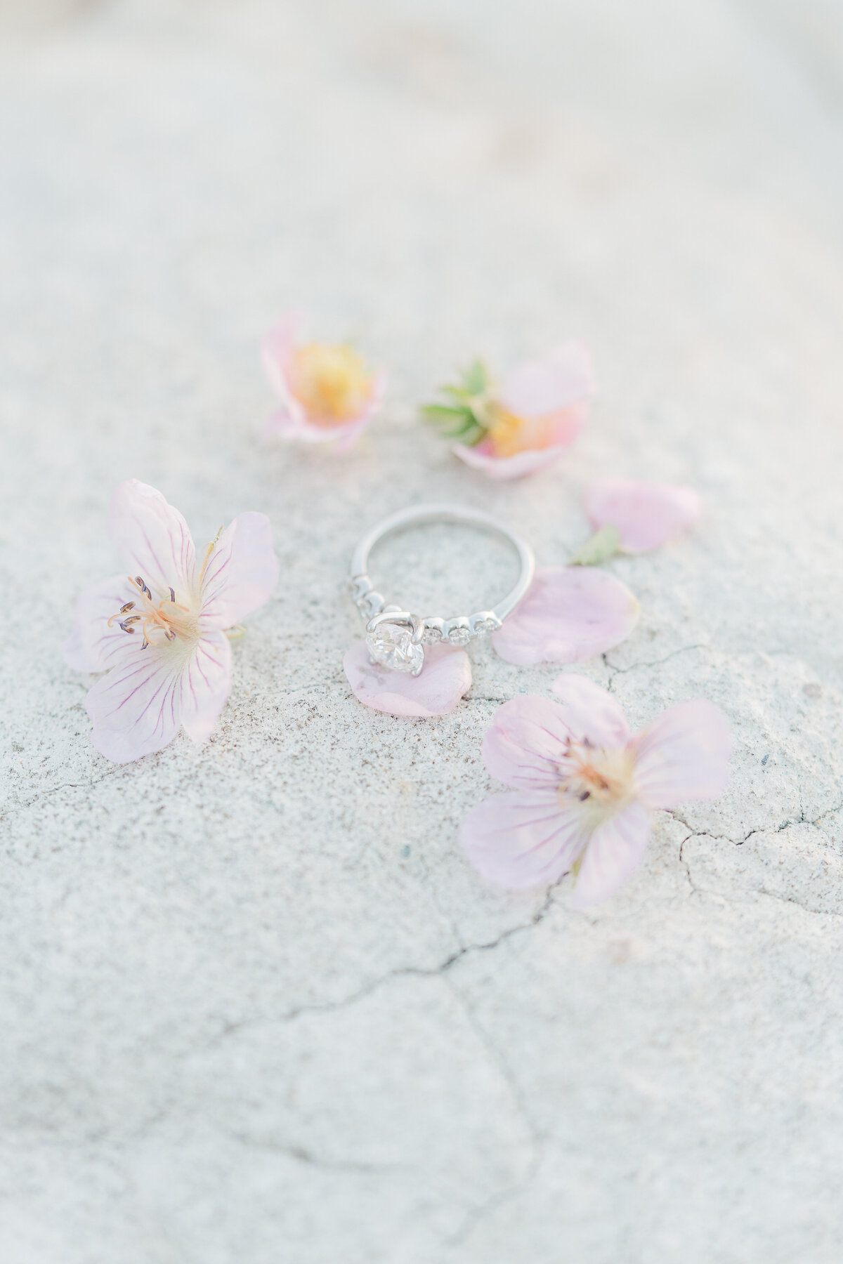 Paint Mines Interpretive Park El Paso Colorado Engagement Session Light and Airy Romantic Pictures Elena Spraguer Photography 0068