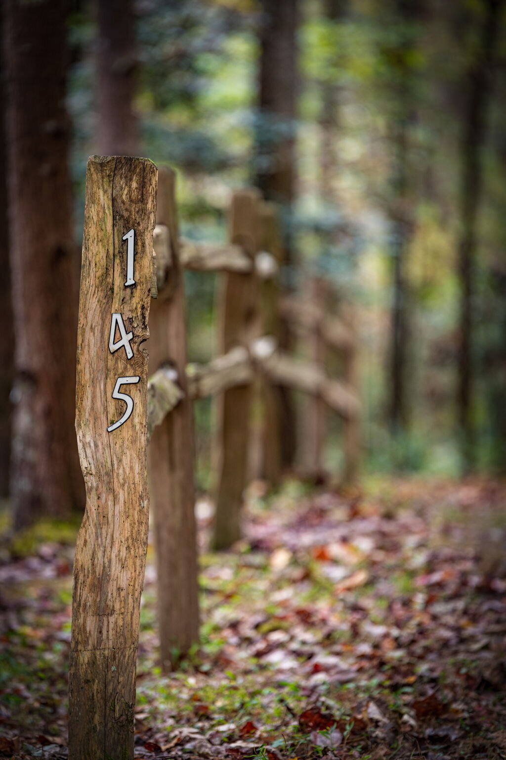 35Shady-Grove-Cabin-Blue-Ridge-GA_7014_numbers