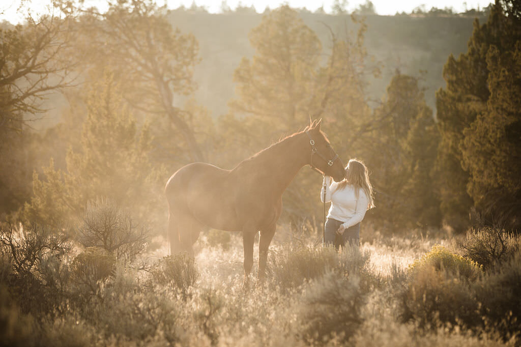 20220922_kya-photography-equestrian-photographer_0010