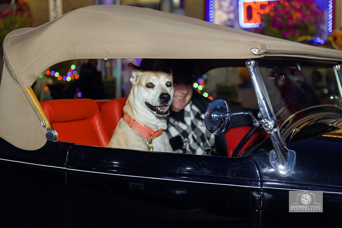 DSC_2743-Doggie copy