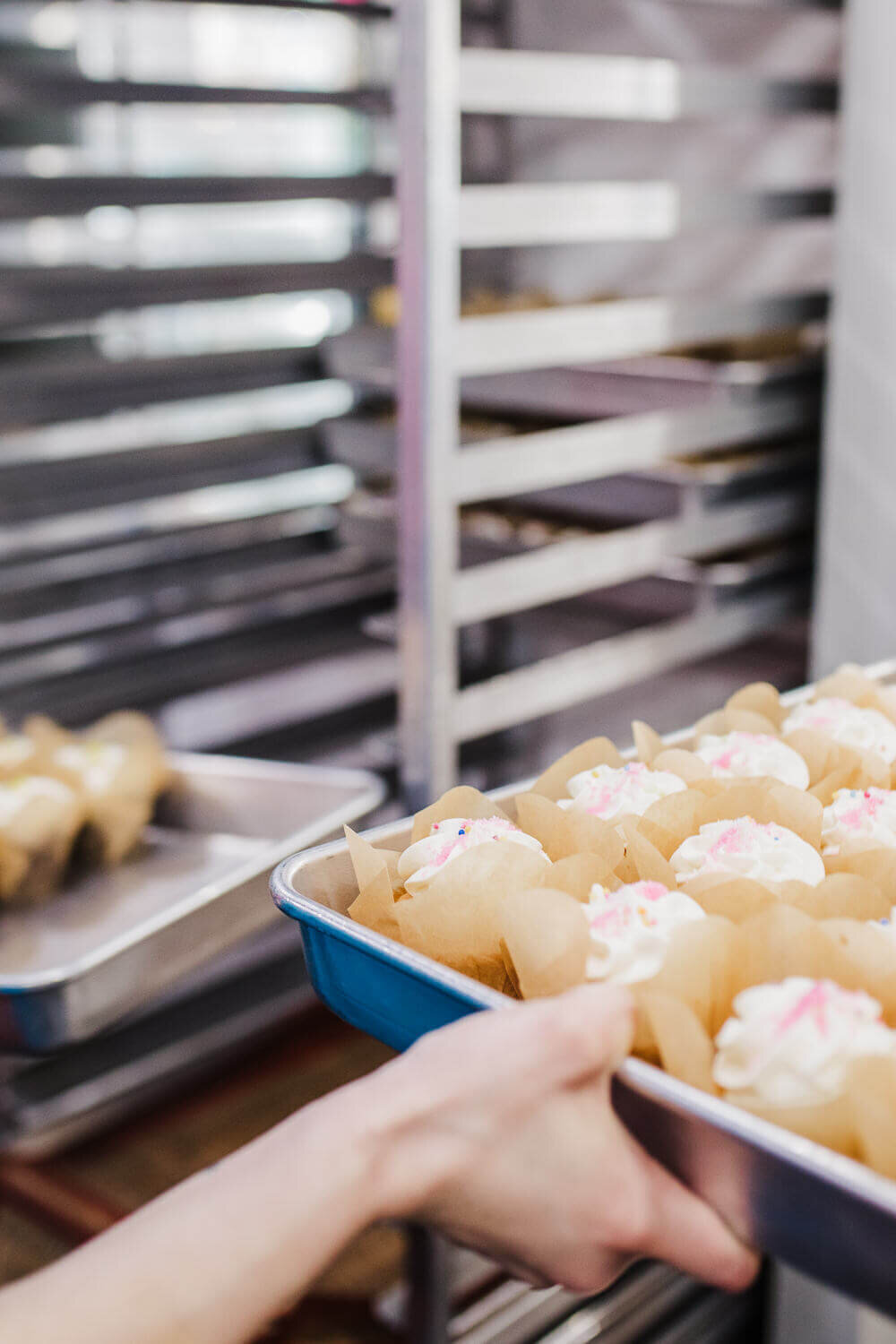 Marilla_Kay_Photography_Albany_Oregon_Natural_Sprinkles_Co40