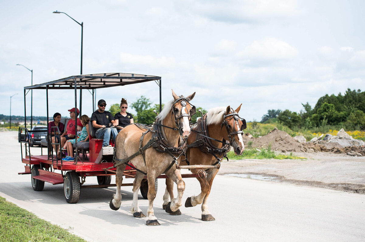 Ottawa event photography showing a horse-drawn carriage giving children a ride during a corporate children's event.  Captured by JEMMAN Photography COMMERCIAL