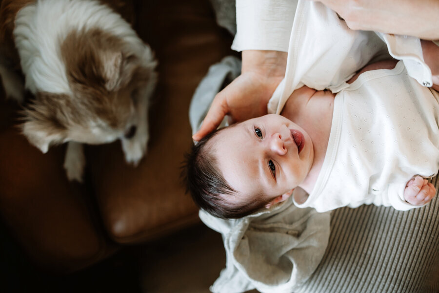 Newborn-photographer-Reykjavik31