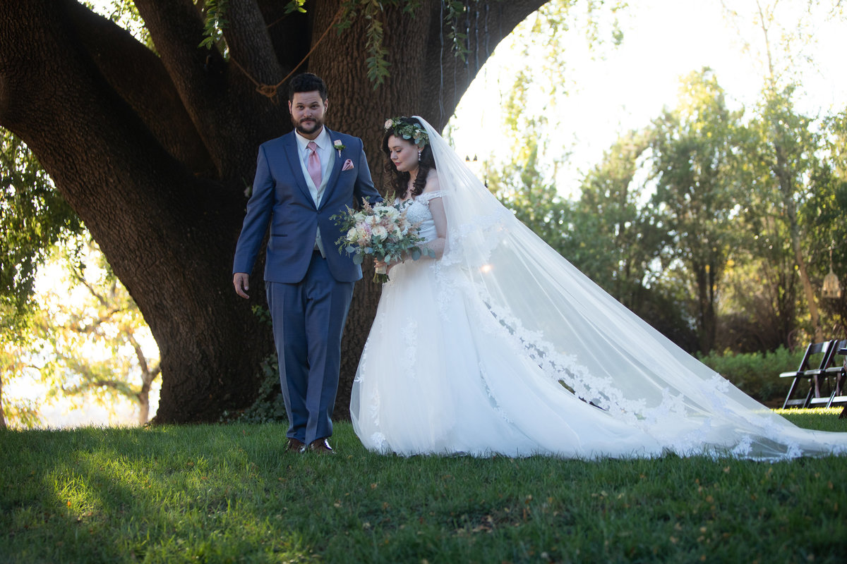 bride and groom under  oak tree