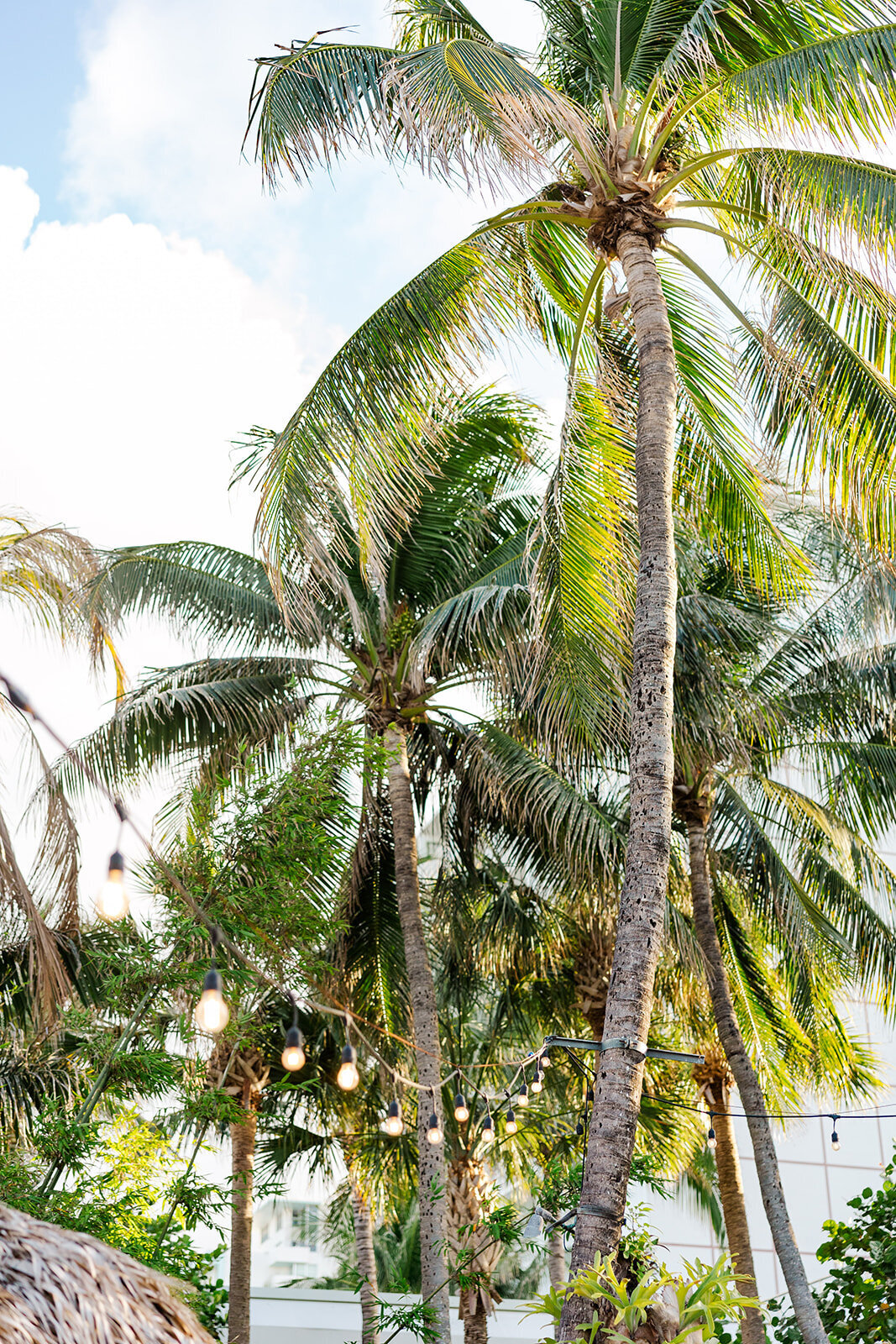the-palms-hotel-miami-wedding-701