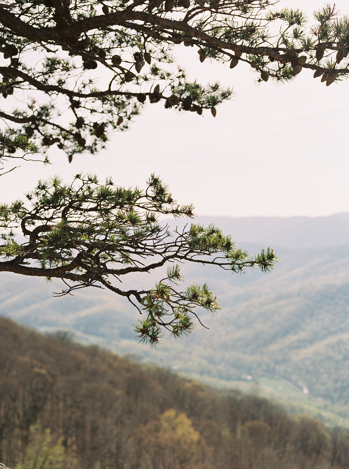 Liz_Eric_Shenandoah_Ravens_Roost_Virginia_Engagement_Megan_Harris_Photography_Edit_-66