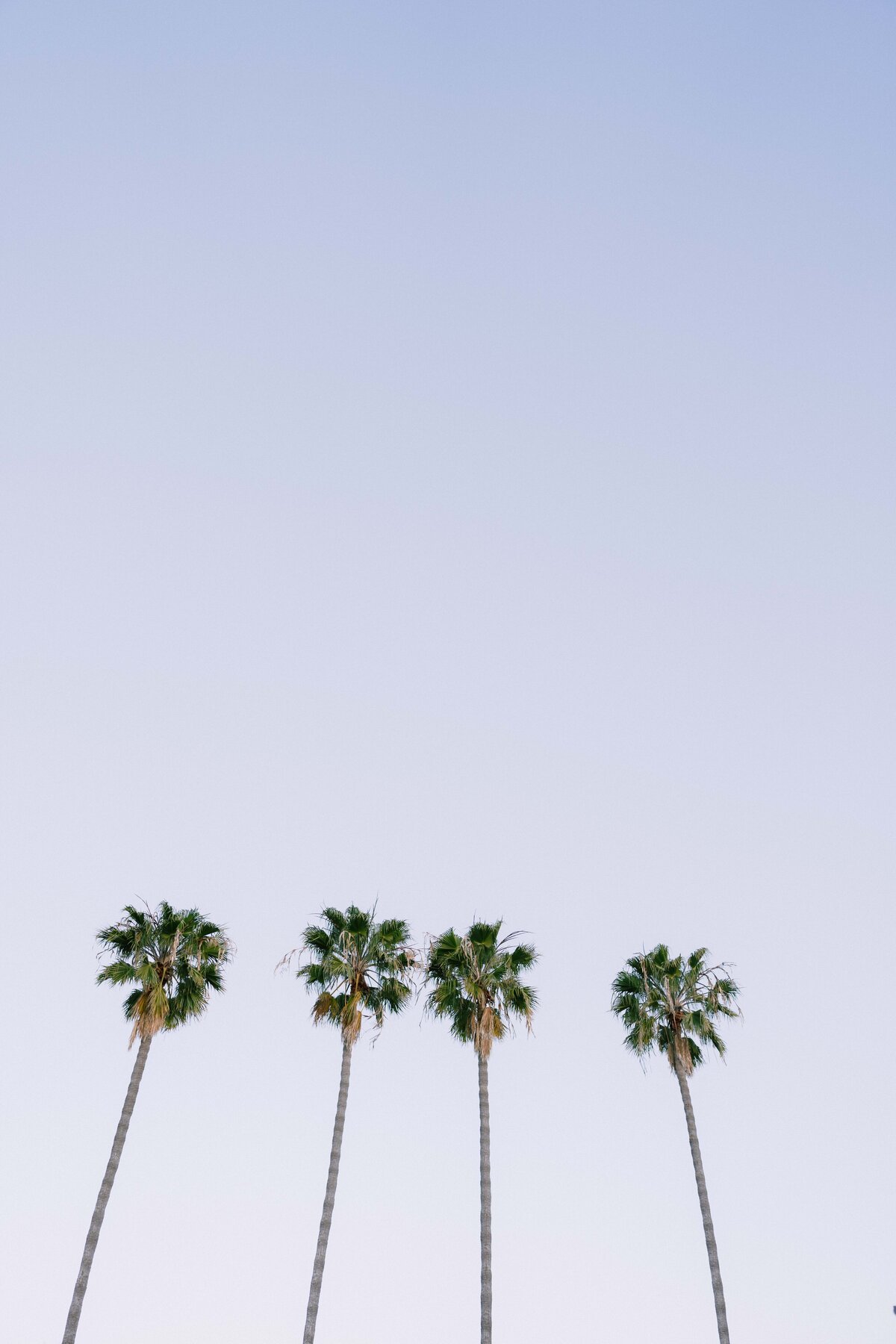 santa barbara wedding photographers 18