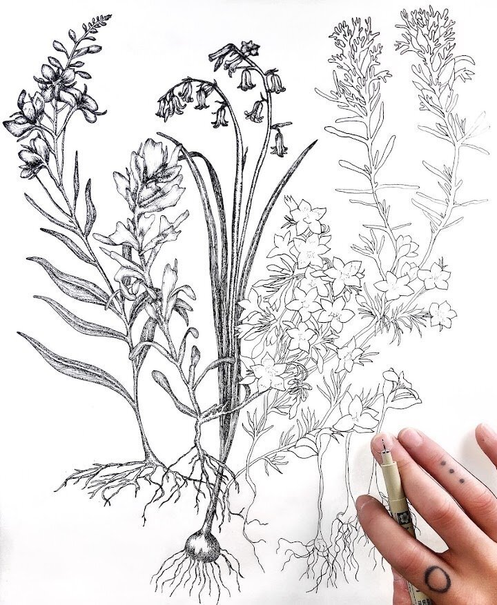 CCC_Botanical sleeve_wip