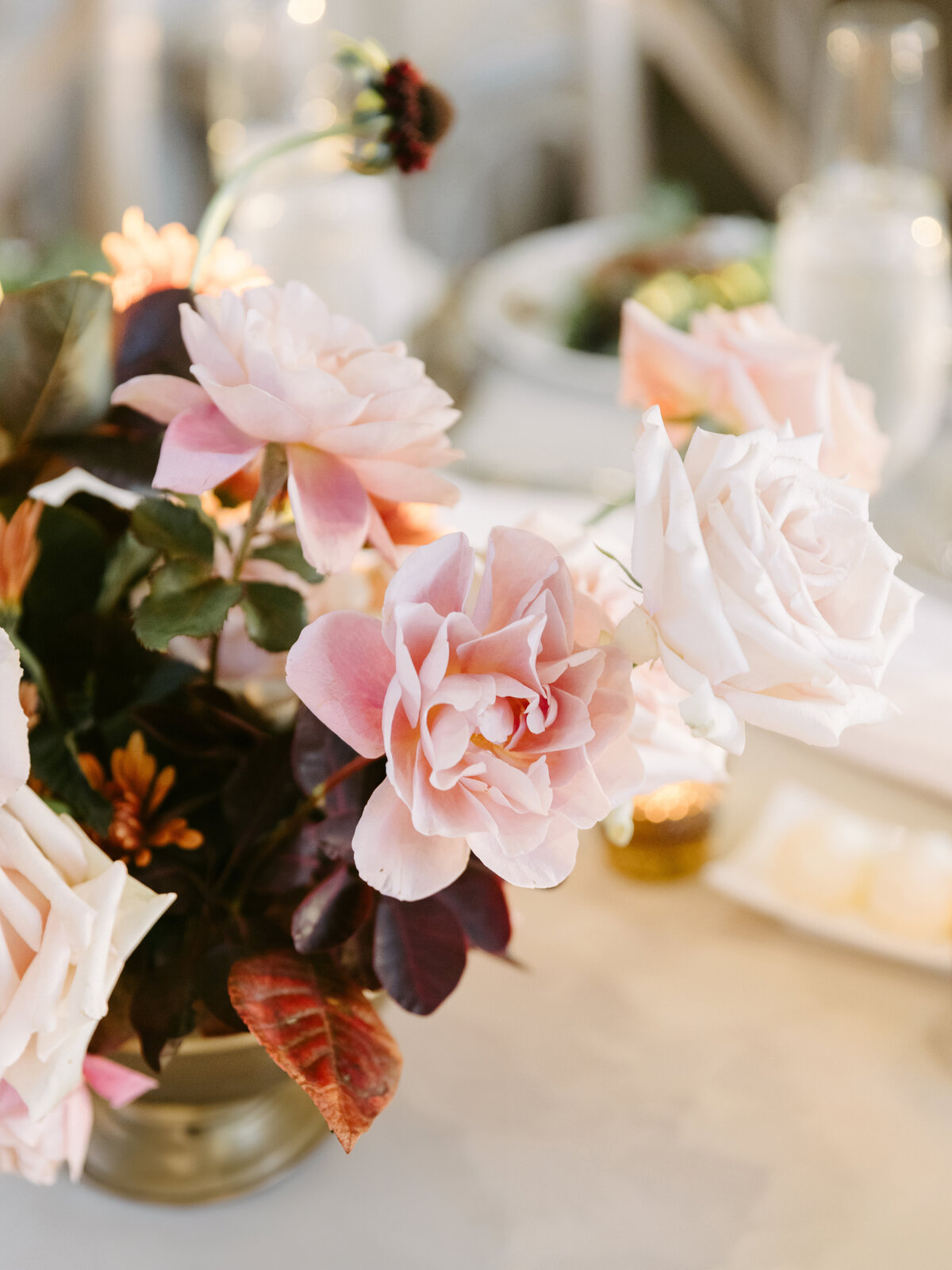 EmilyWrenPhotography-Associate-Gabby-071