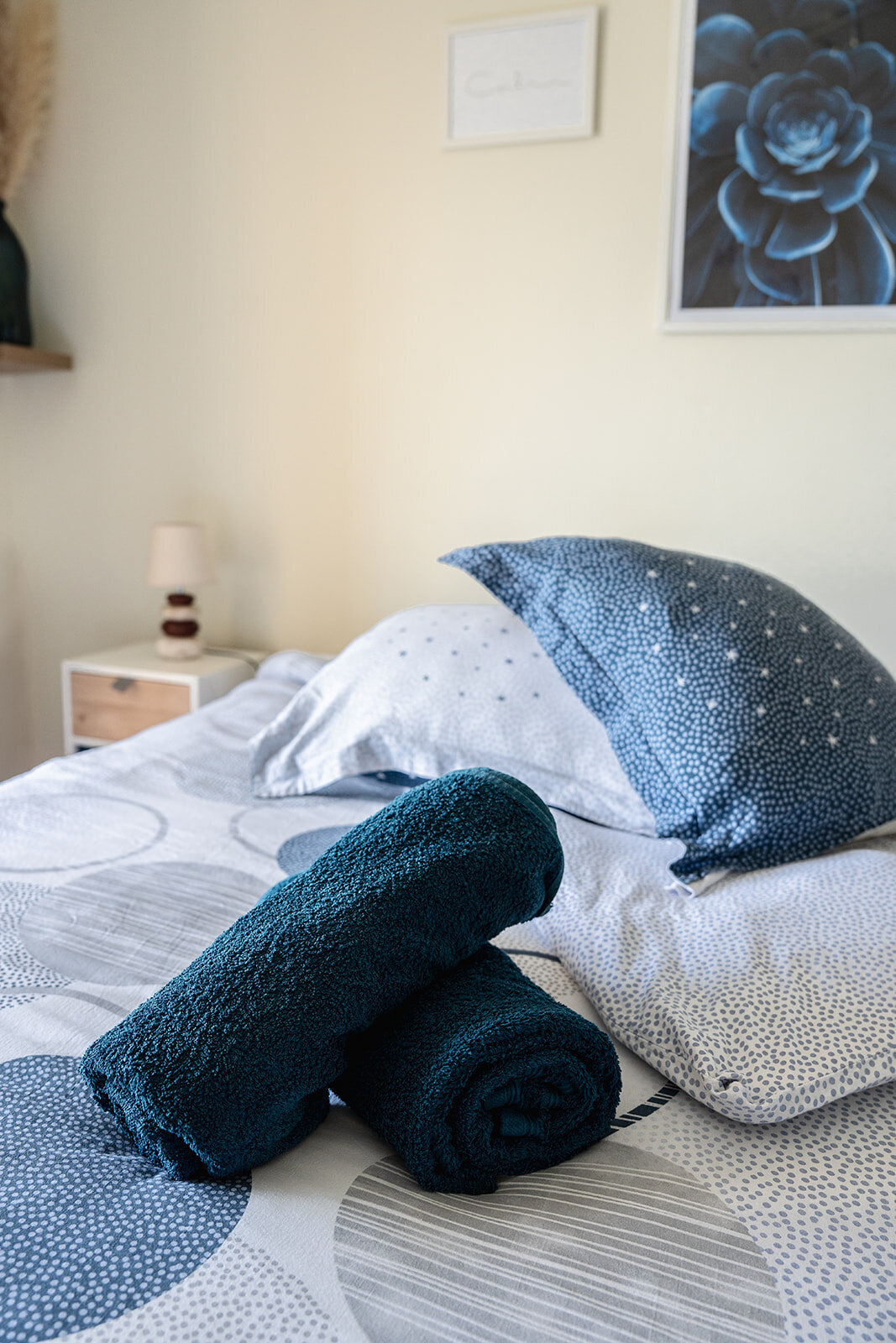 location-vacances-greoux-les-bains-air-bnb6