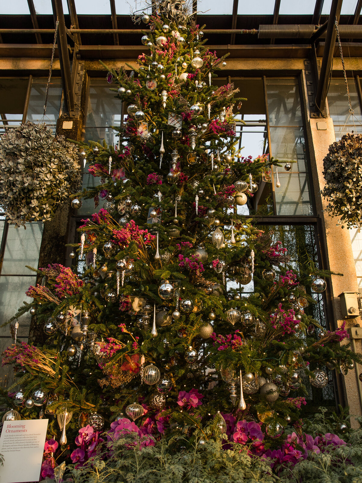 Longwood Christmas 2022_Full Size-12