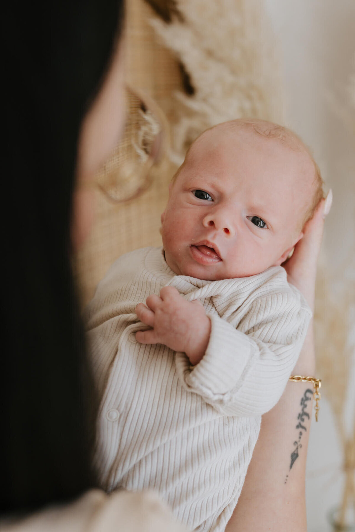 newborn fotograaf - Sint-niklaas - pictures by jess