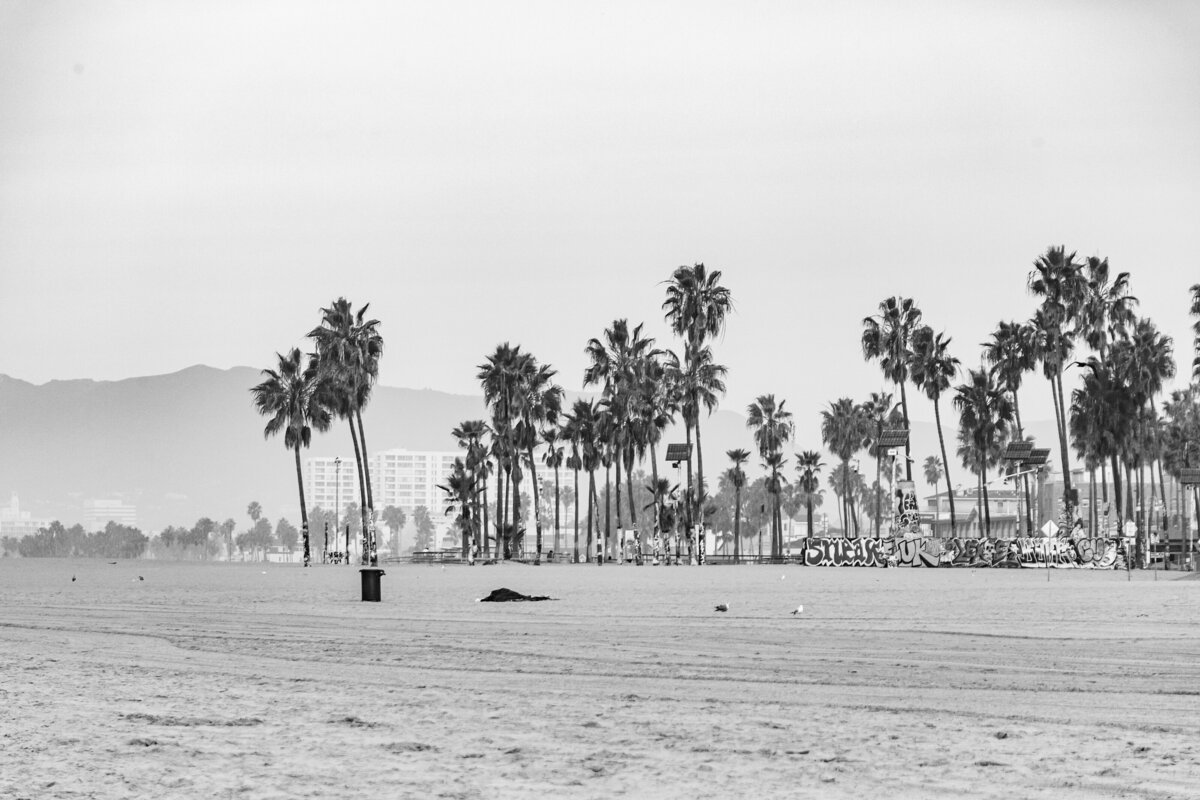 0108-socal-surf-culture-venice-malibu-muscle-beach-breakwater-0033