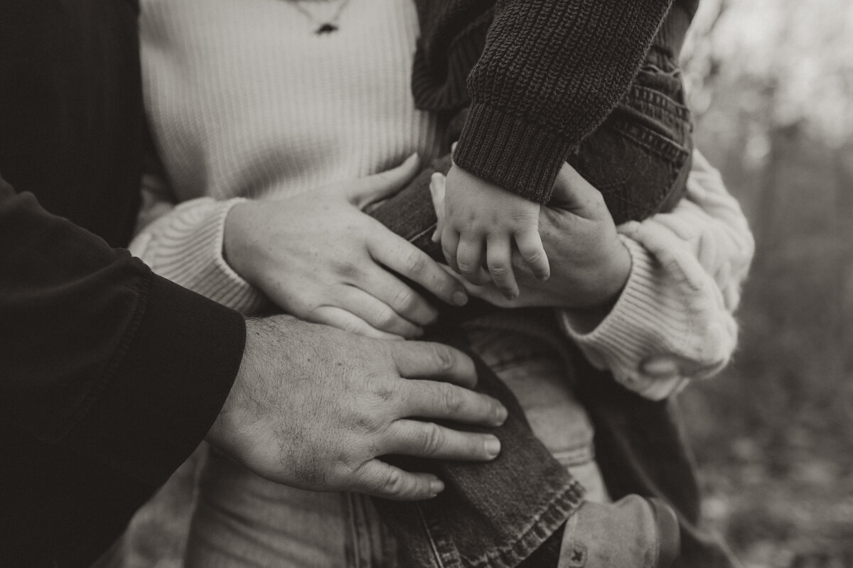 family photographer bloomington