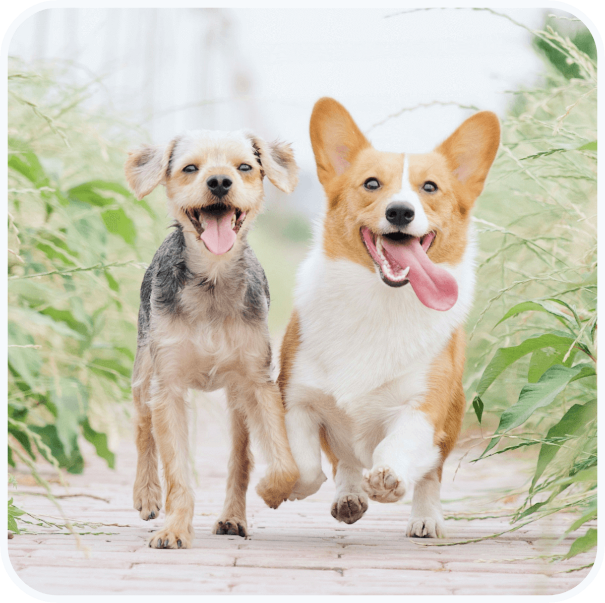 attaboys-and-attagirls-03