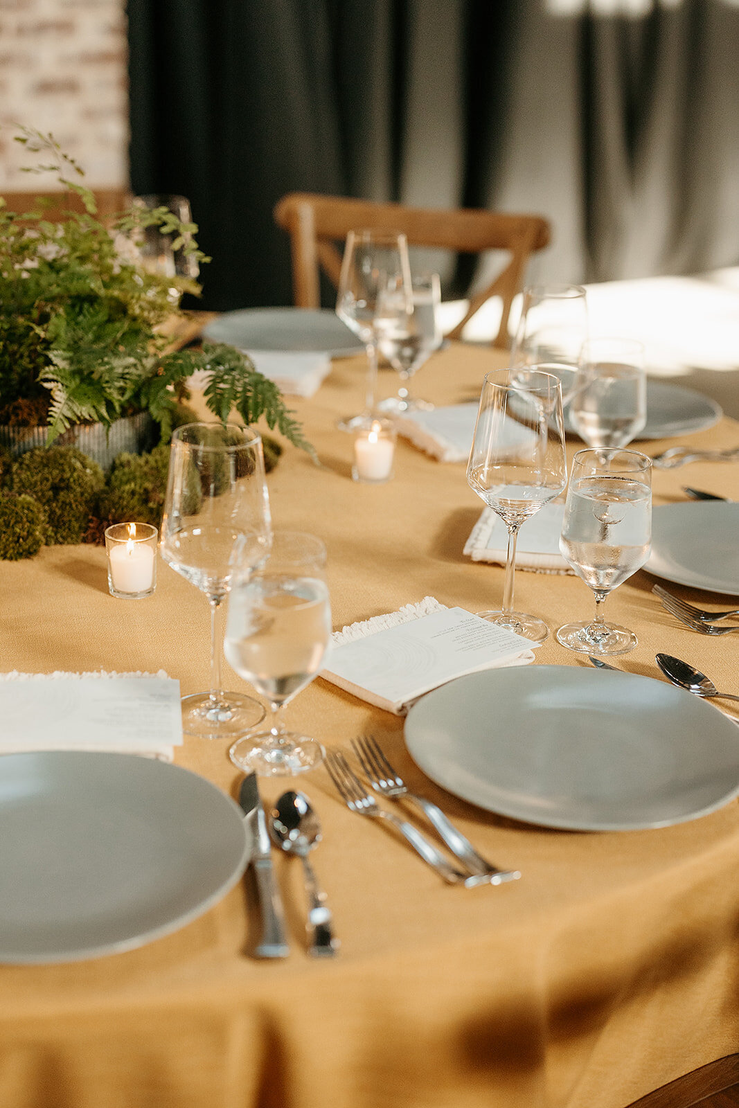 DanielleChristinePhotography_Redwood_eveningday3_hires-38_websize