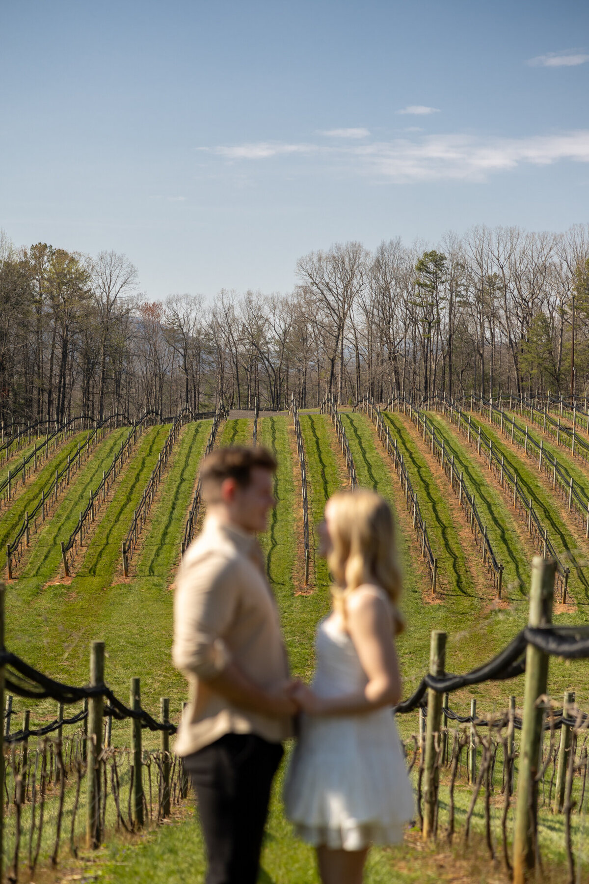 Roo Mountain Vineyards Todd Graham Photography Ellijay Georgia-24