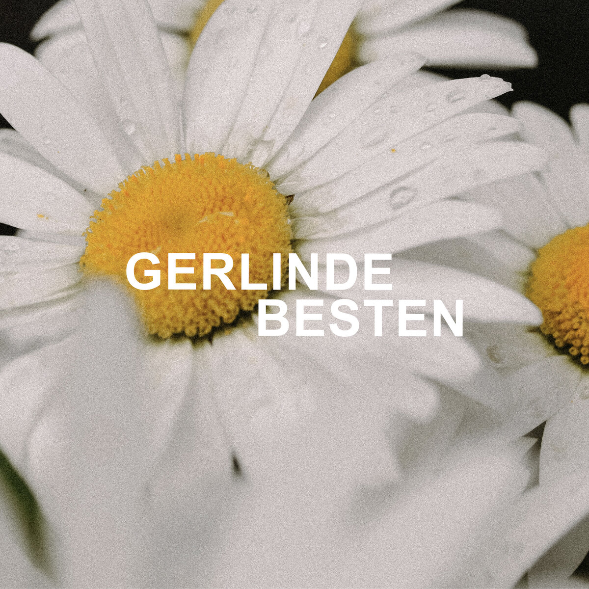 Final Branding_Gerlinde-08