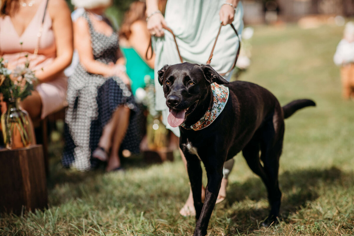New_Hampshire_Wedding_Photographer_allrose_farm-47