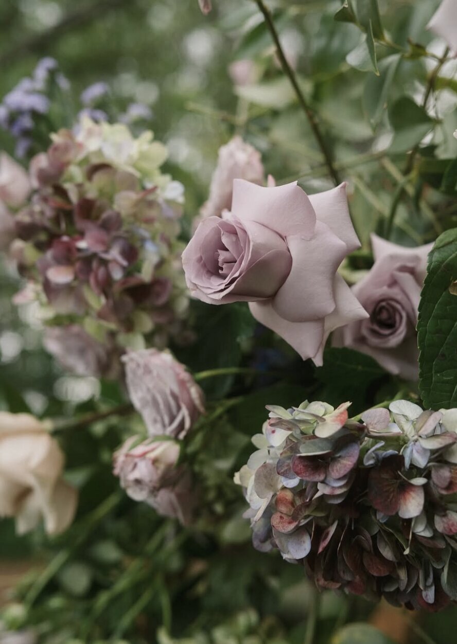 purple-roses-new-england-wedding-jemima-richards-photography
