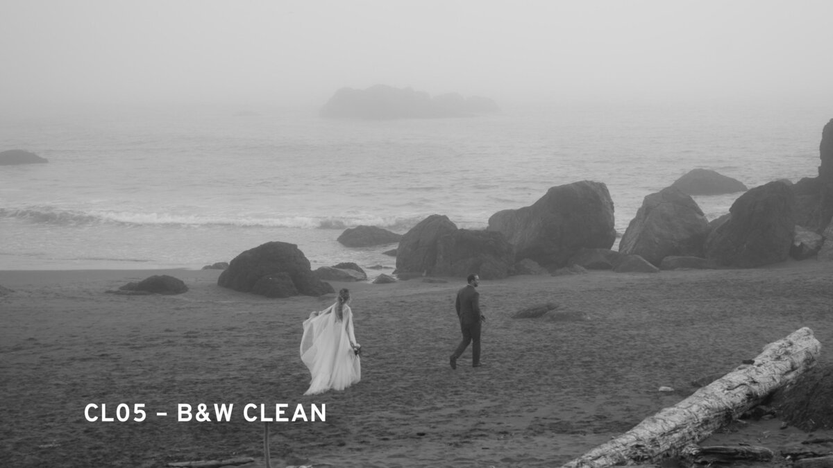 Coastal LUT BW Clean 02