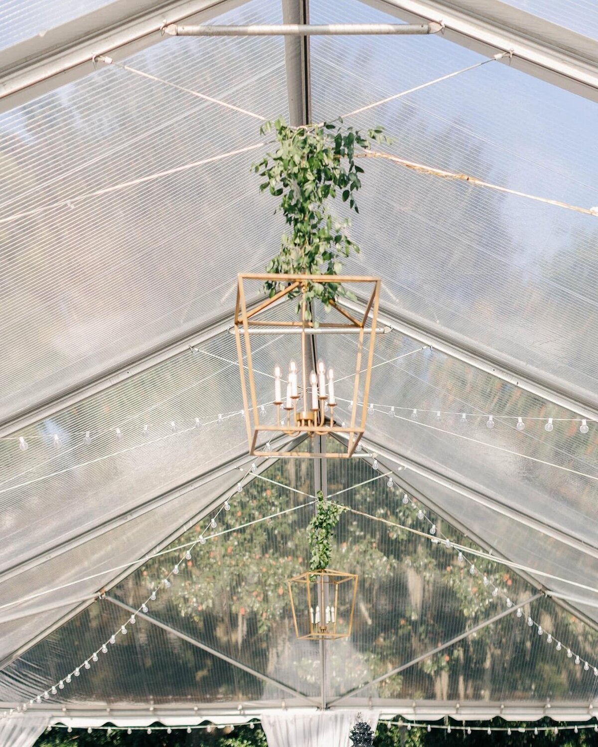Charleston Carolina Weddings | Carolina Occasions 049