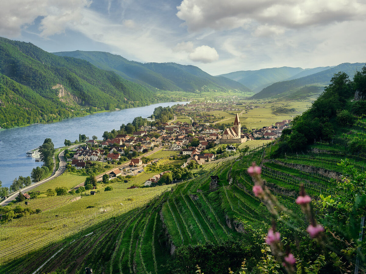 Panorama von Weißenkirchen in der Wachau mit Blick auf die Donau und umliegende Weingärten – typisch österreichische Kulturlandschaft vom Fotograf Atelier Schulte – Landschaftsfotografie mit regionalem Bezug.