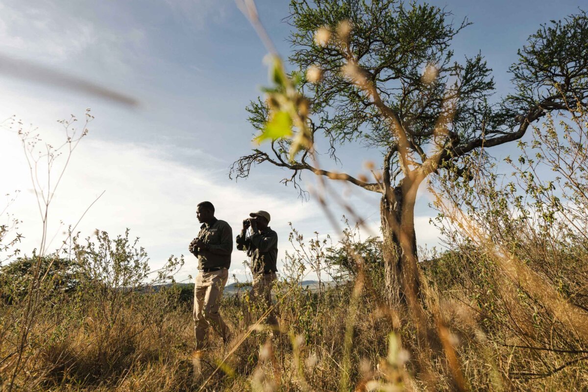 TAASA Moment - Walking Safari (9)