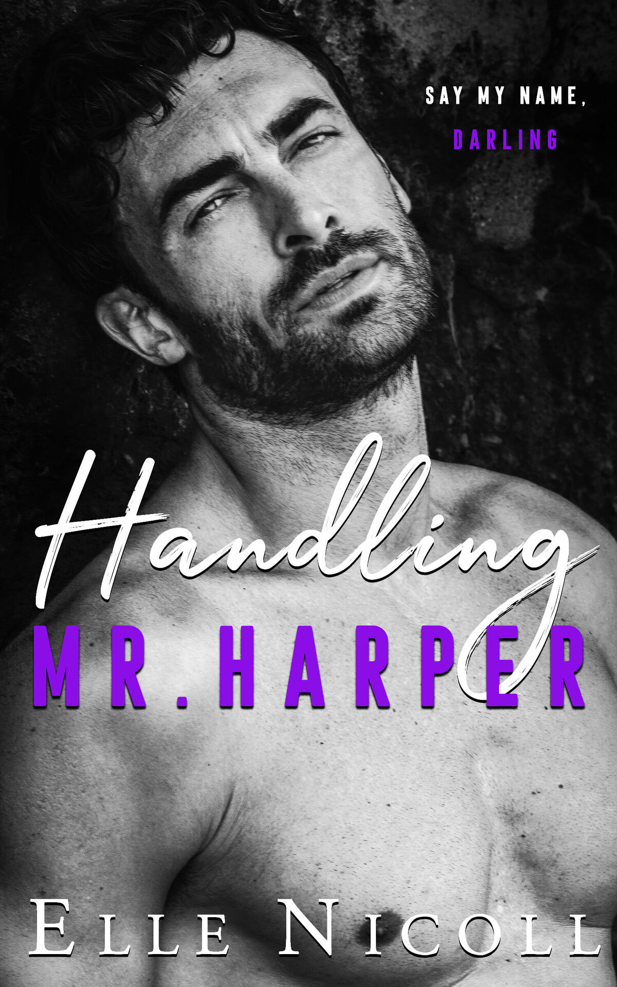 Handling Mr. Harper Ebook