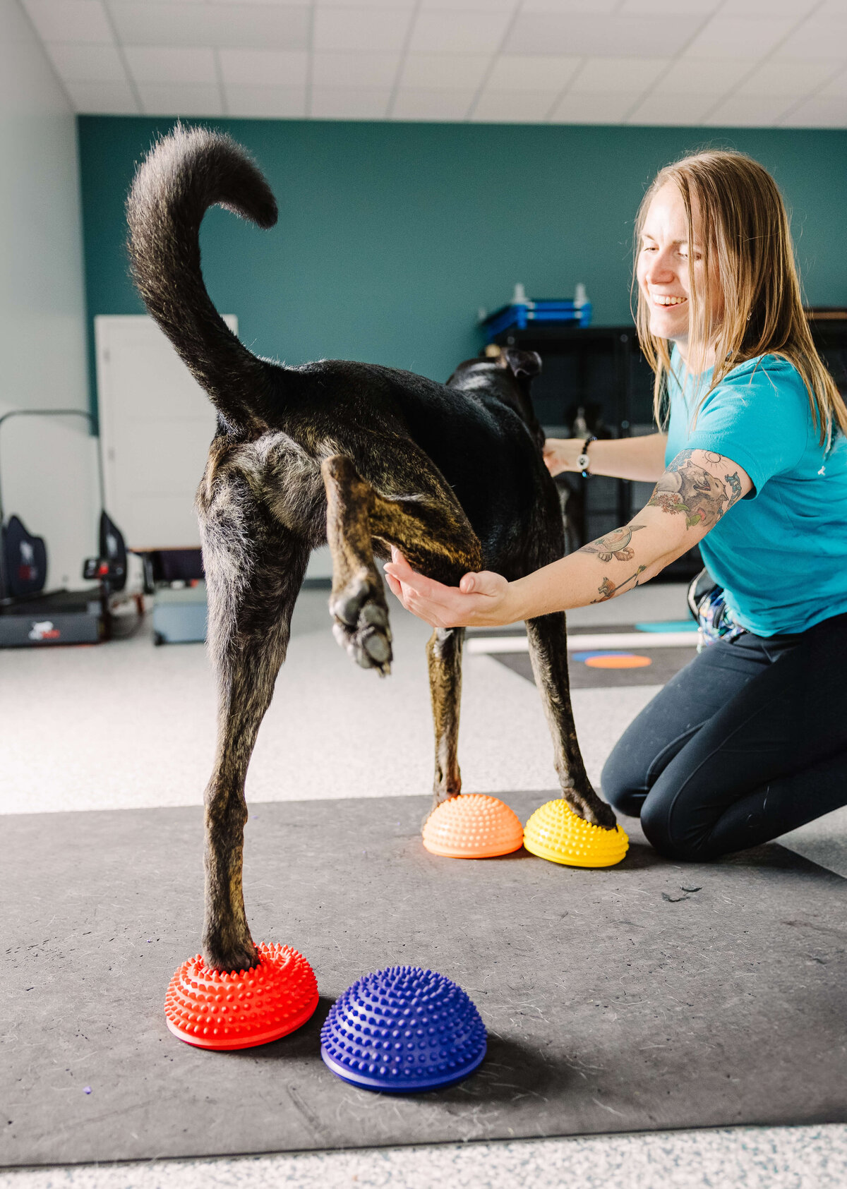 Dog-fitness-veterinary-brand-photo-by-southern-idaho-commercial-brand-photographer-erin-moore