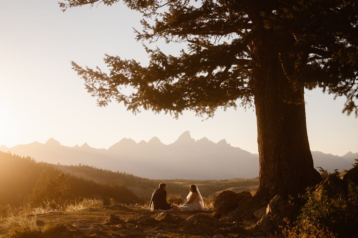 Wedding tree elopement near Grand Teton National Park