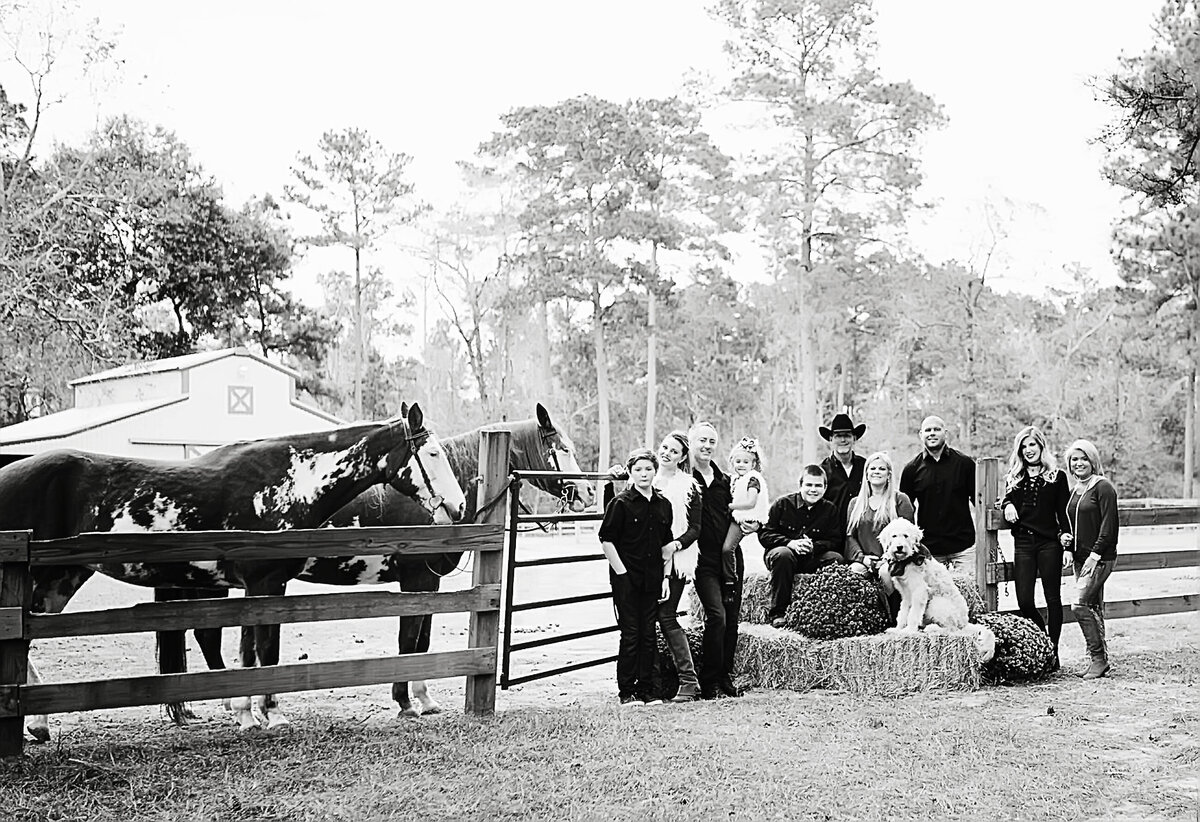 Ranch - Houston Photographer - horses