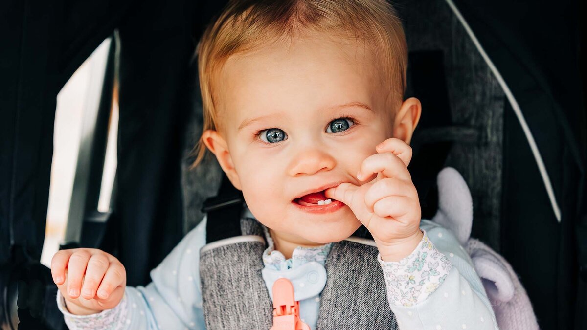 Stevensville-Montana-toddler-car-seat