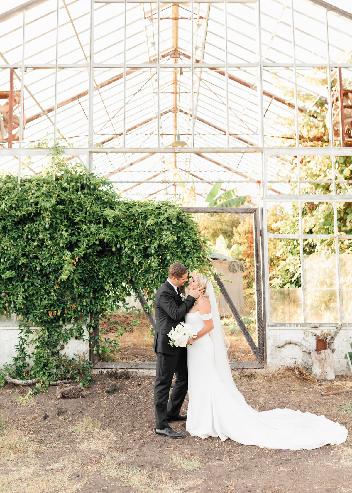 5-brideandgroom-231