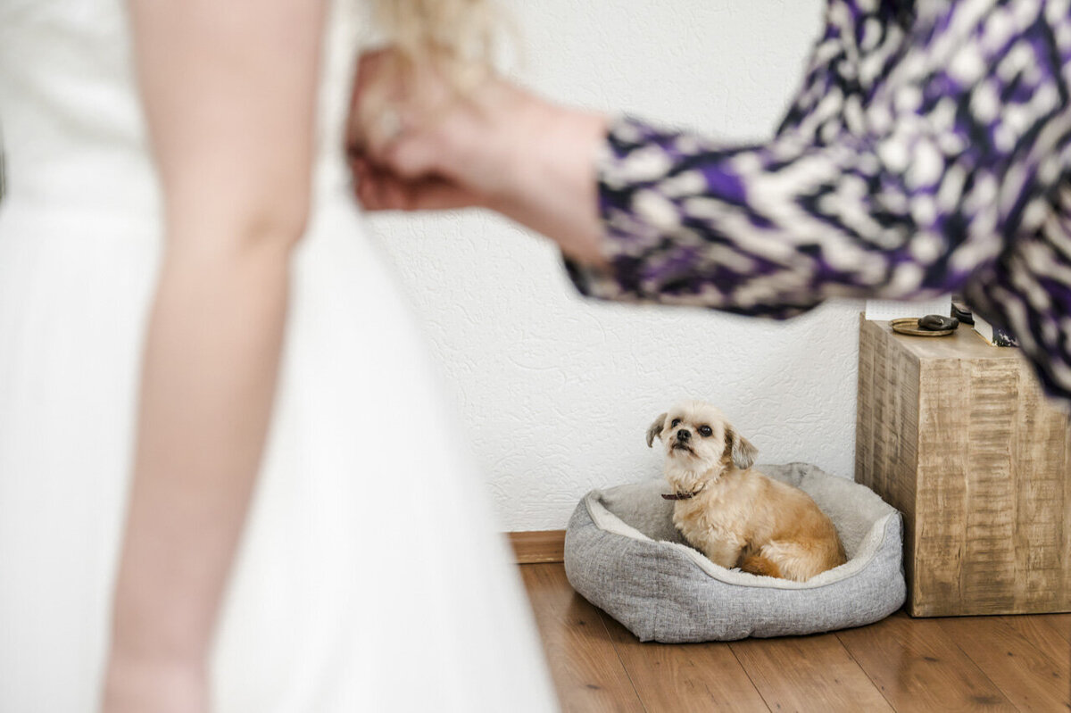 Trouwfotograaf Friesland, Bruidsfotograaf Friesland (1)