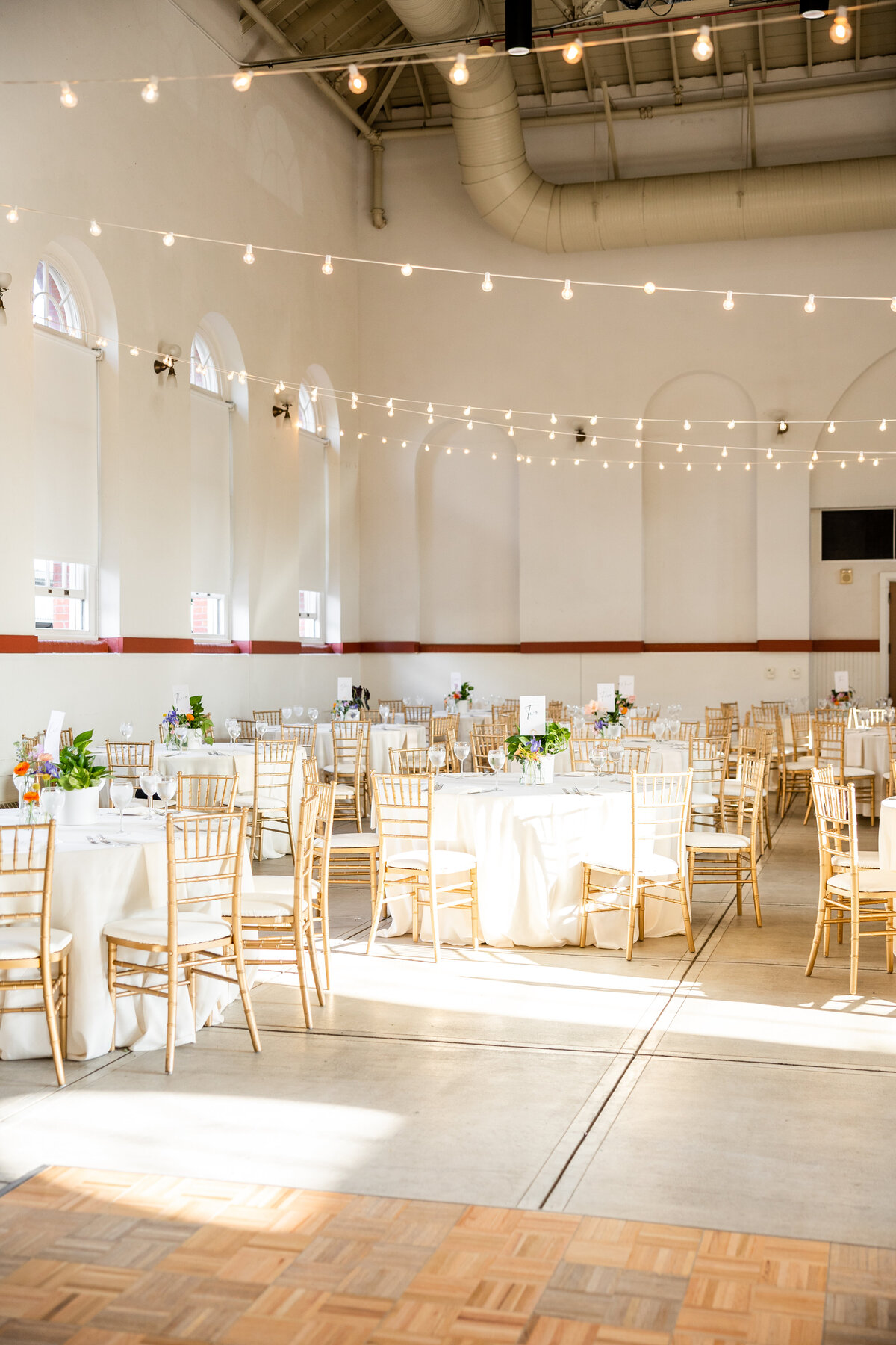 TrepicchioWedding-1039