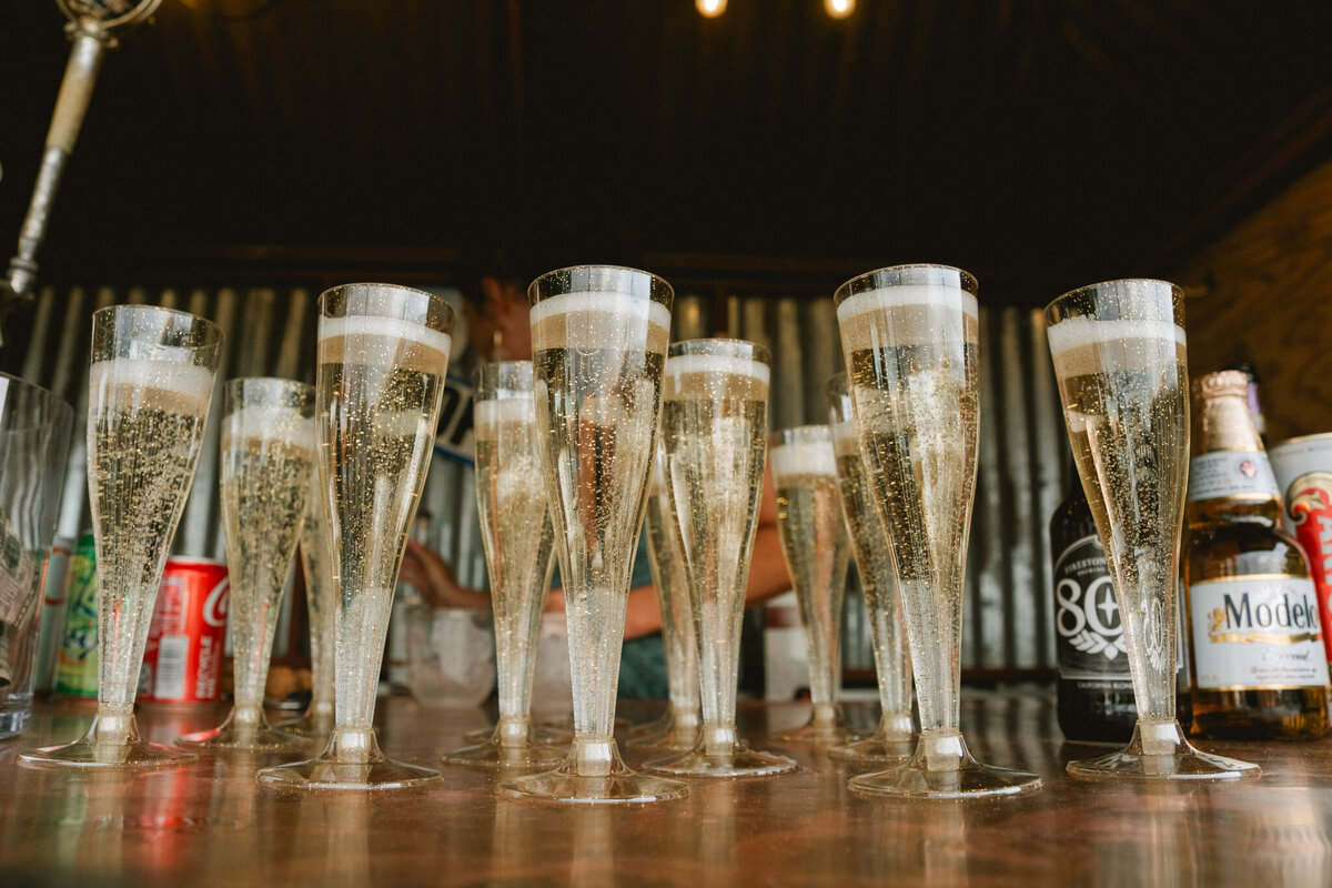 Hicksville Trailer Palace Elopement-40