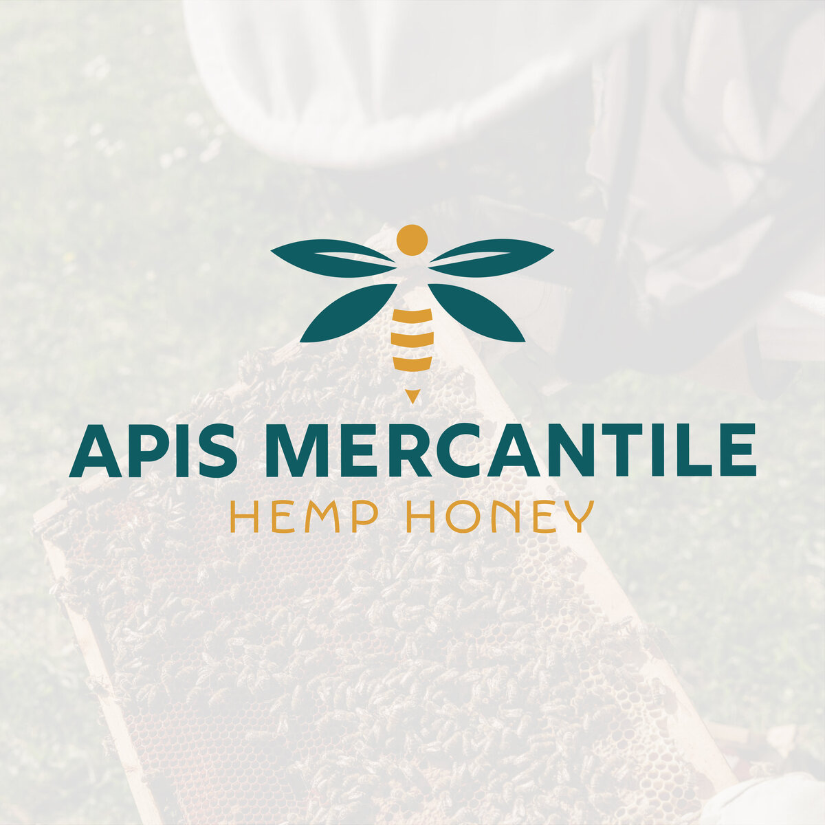 ApisMercantile_2024_socialgraphics-06