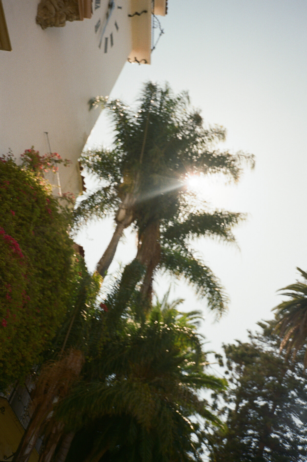 Jenny Losee Photography (20 of 361)