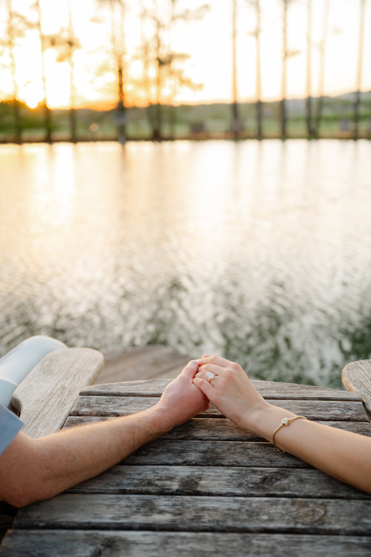 Curran & Nini's Proposal 0119
