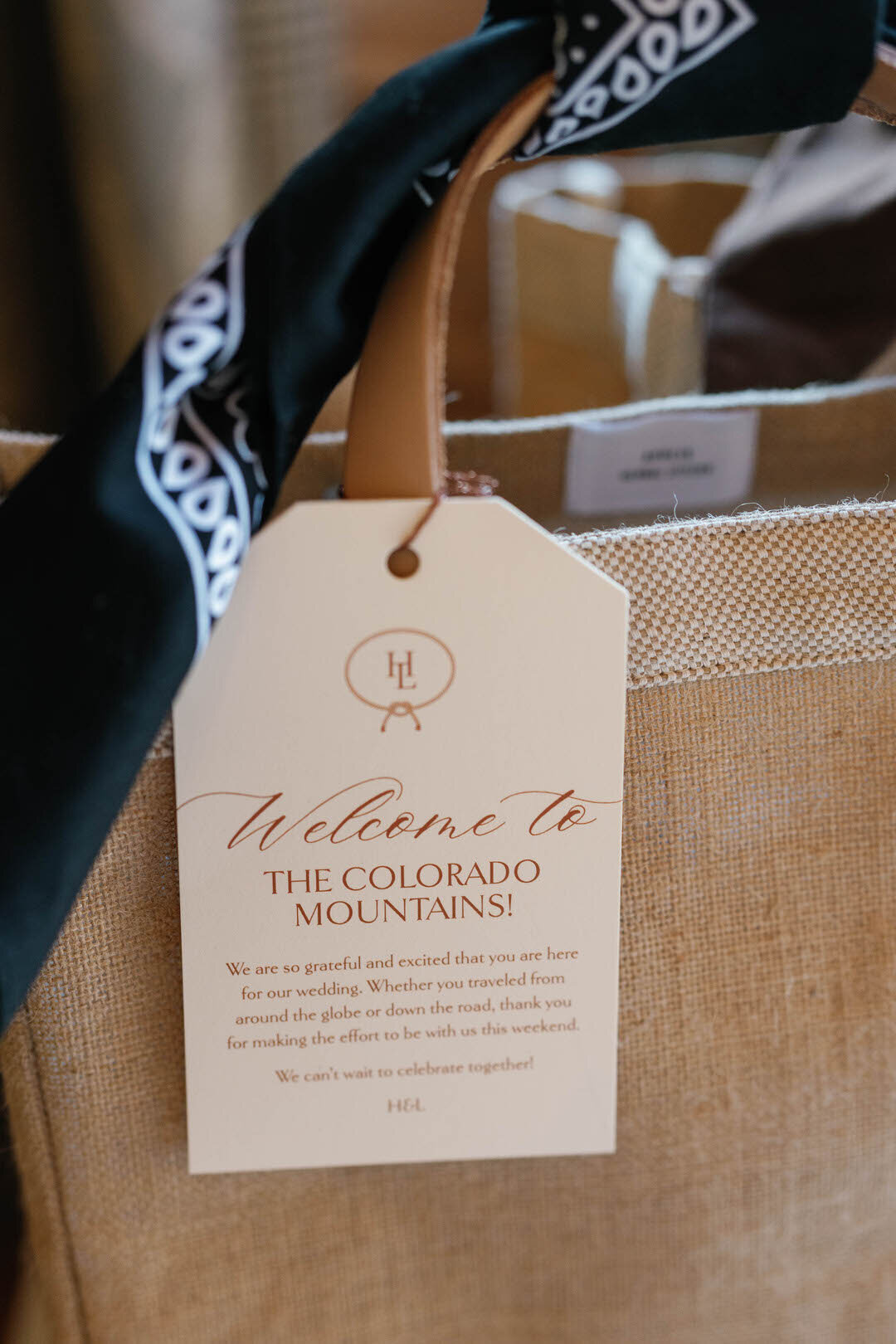 1 Beaver Creek Colorado Mountain Wedding by GoBella.com @gobella 3
