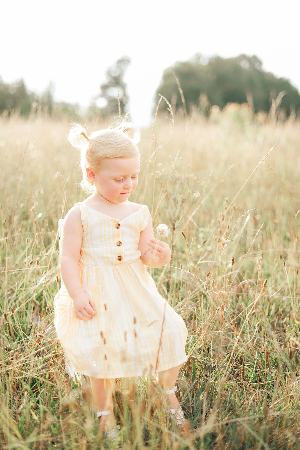 Greenville Family Photographer Ana -14