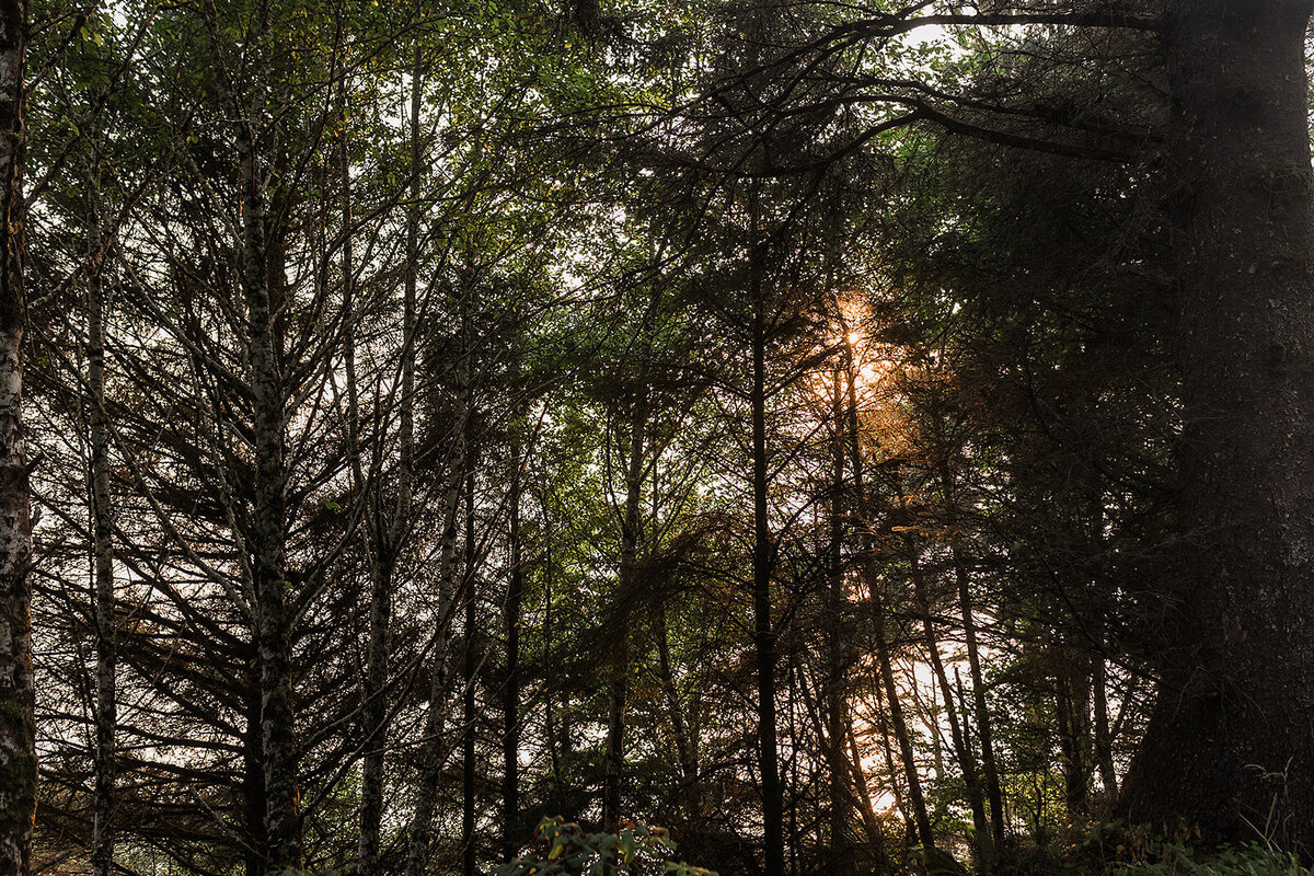 Olympic National Park Elopement  - Tara Nichole Photo - 2023 - Kyle and Keaton-156